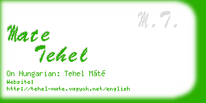 mate tehel business card