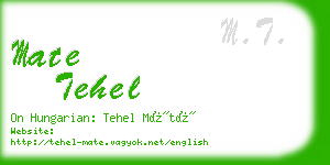 mate tehel business card